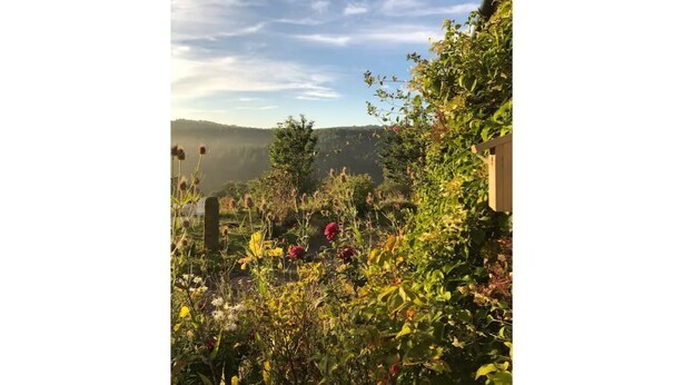 A garden with various plants and flowers, a wooden fence, and a view of distant hills. - Gardener's Cottage with Stunning Views (Rowlands Gill)