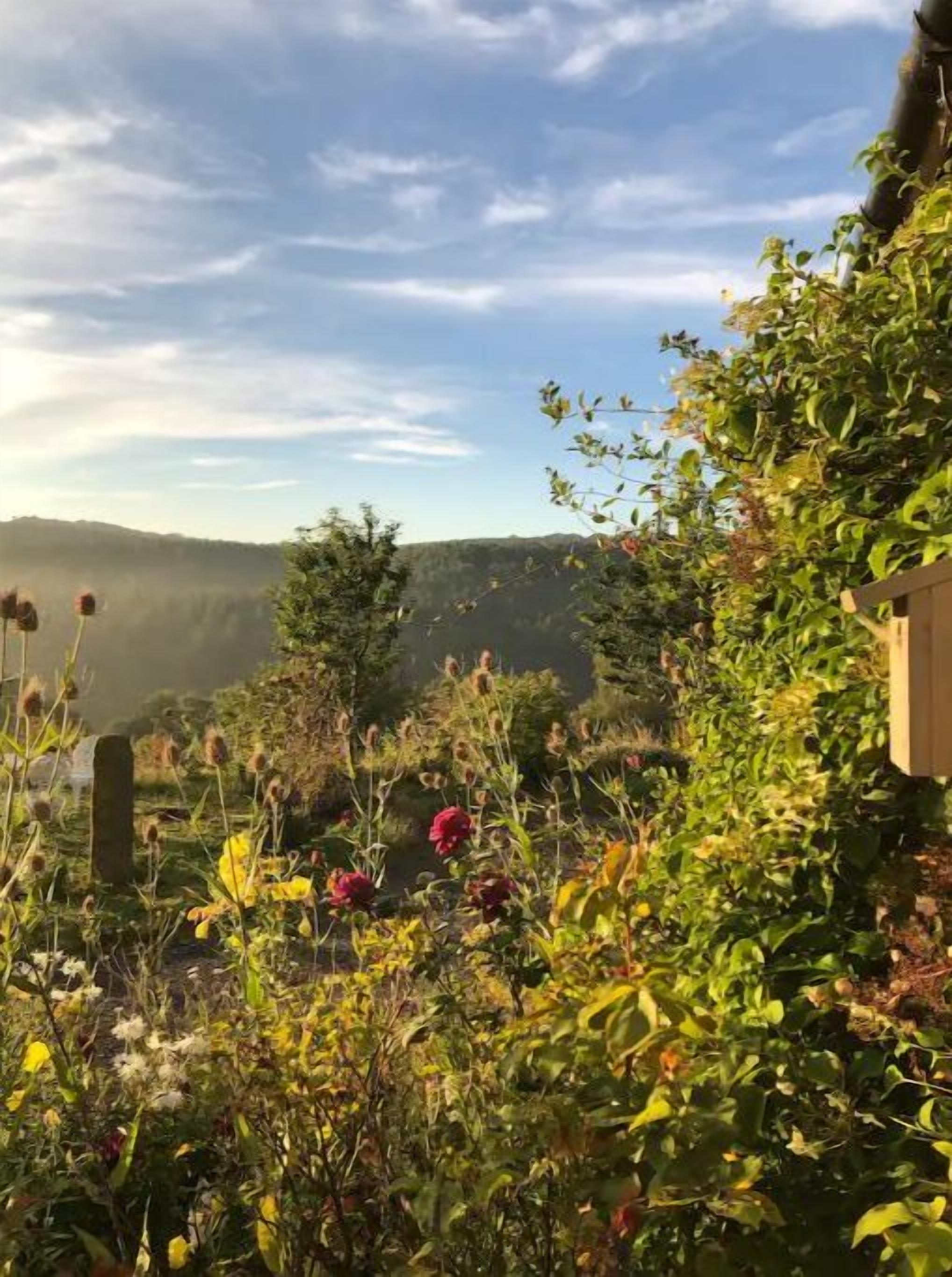 Een tuin met verschillende planten en bloemen, een houten hek en een uitzicht op heuvels in de verte.