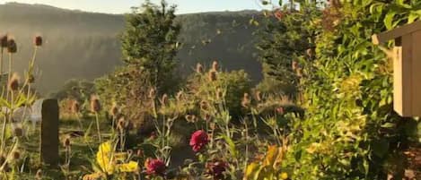 A garden with various plants and flowers, a wooden fence, and a view of distant hills.