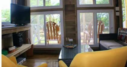 The Birds Nest, birds, close to area surfing,