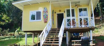 The Birds Nest, birds, close to area surfing,
