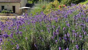 A stone building with a sloped roof, surrounded by a garden with purple flowers.
