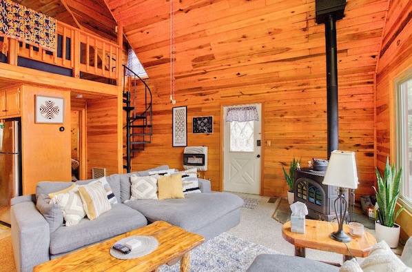 Smart TV, fireplace, DVD player, books