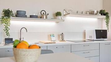 Réfrigérateur, micro-ondes, plaque de cuisson, lave-vaisselle