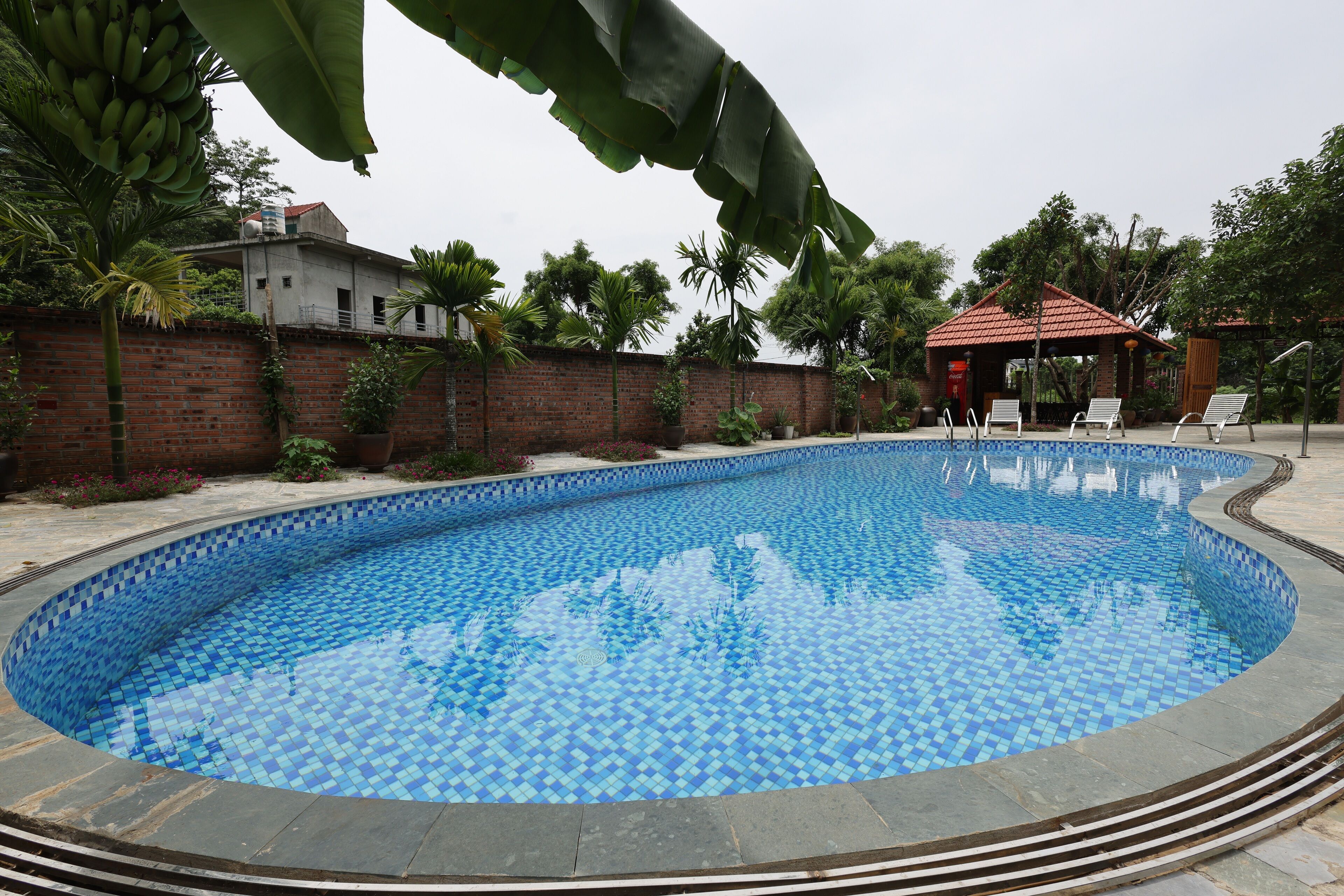 Una piscina con borde de azulejos, rodeada por un muro de ladrillo y follaje.