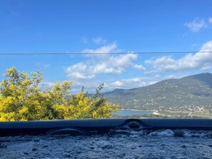 Vista desde la propiedad