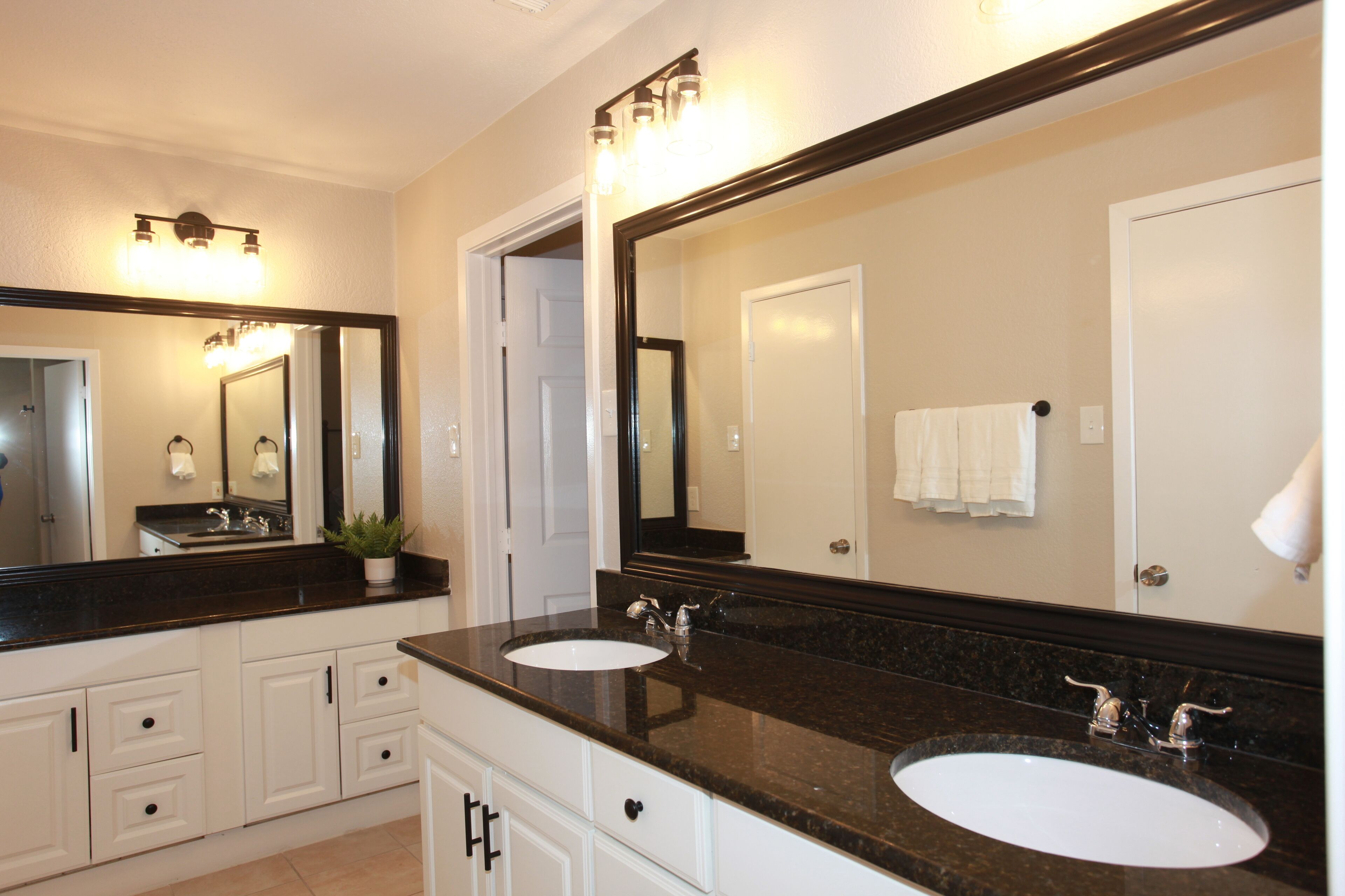 Une salle de bain avec deux lavabos, un grand miroir et une plante en pot.