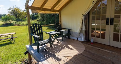 Cozy Forest Retreat near Sam Houston National Park