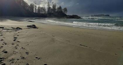 Rainforest Lane Loft suite