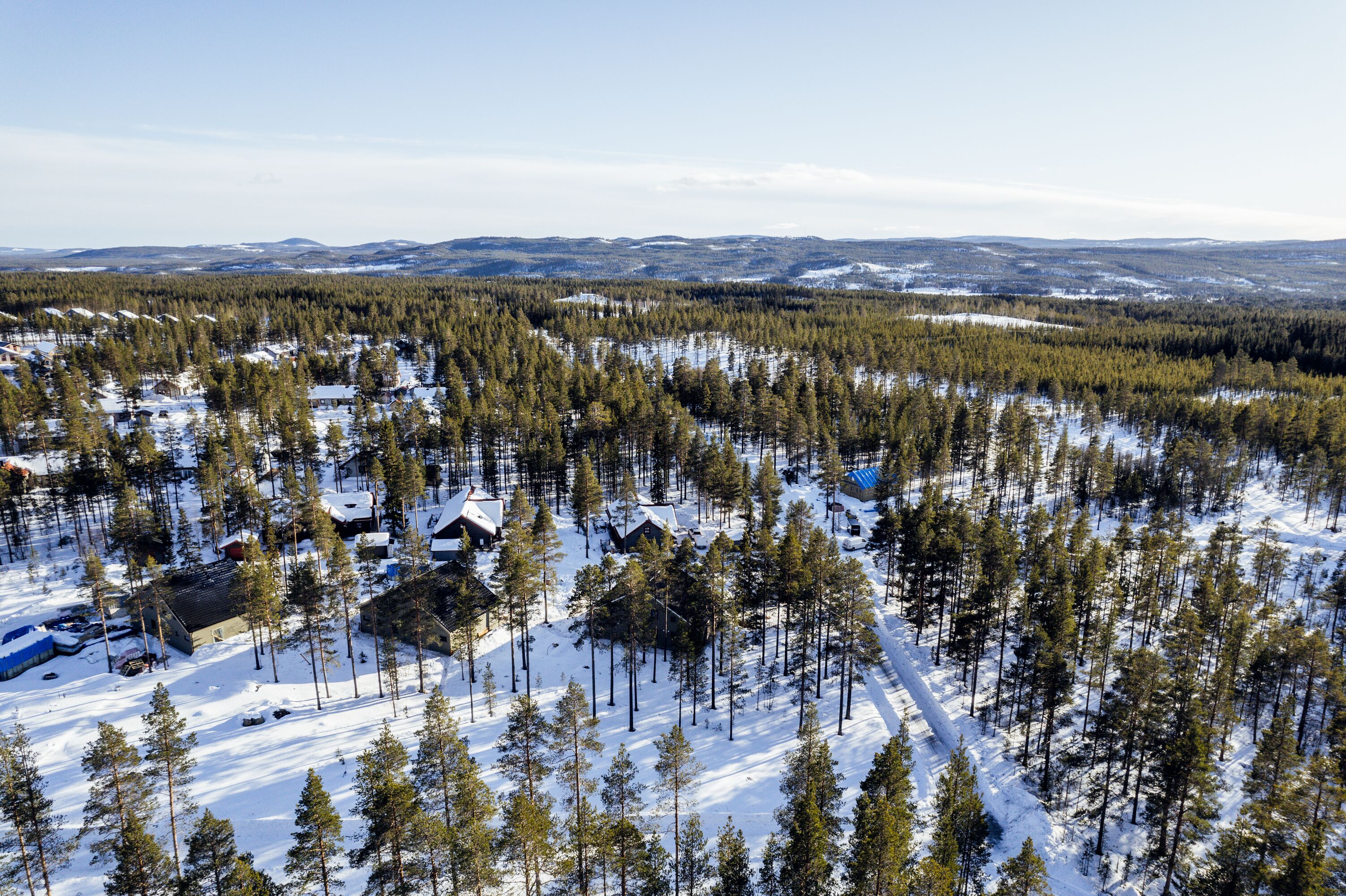 A snow-covered forest with several cabins and clearings.
