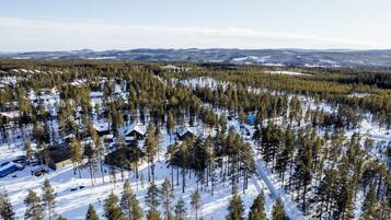 A snow-covered forest with several cabins and clearings.