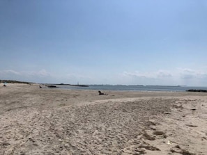 Chaises longues, serviettes de plage