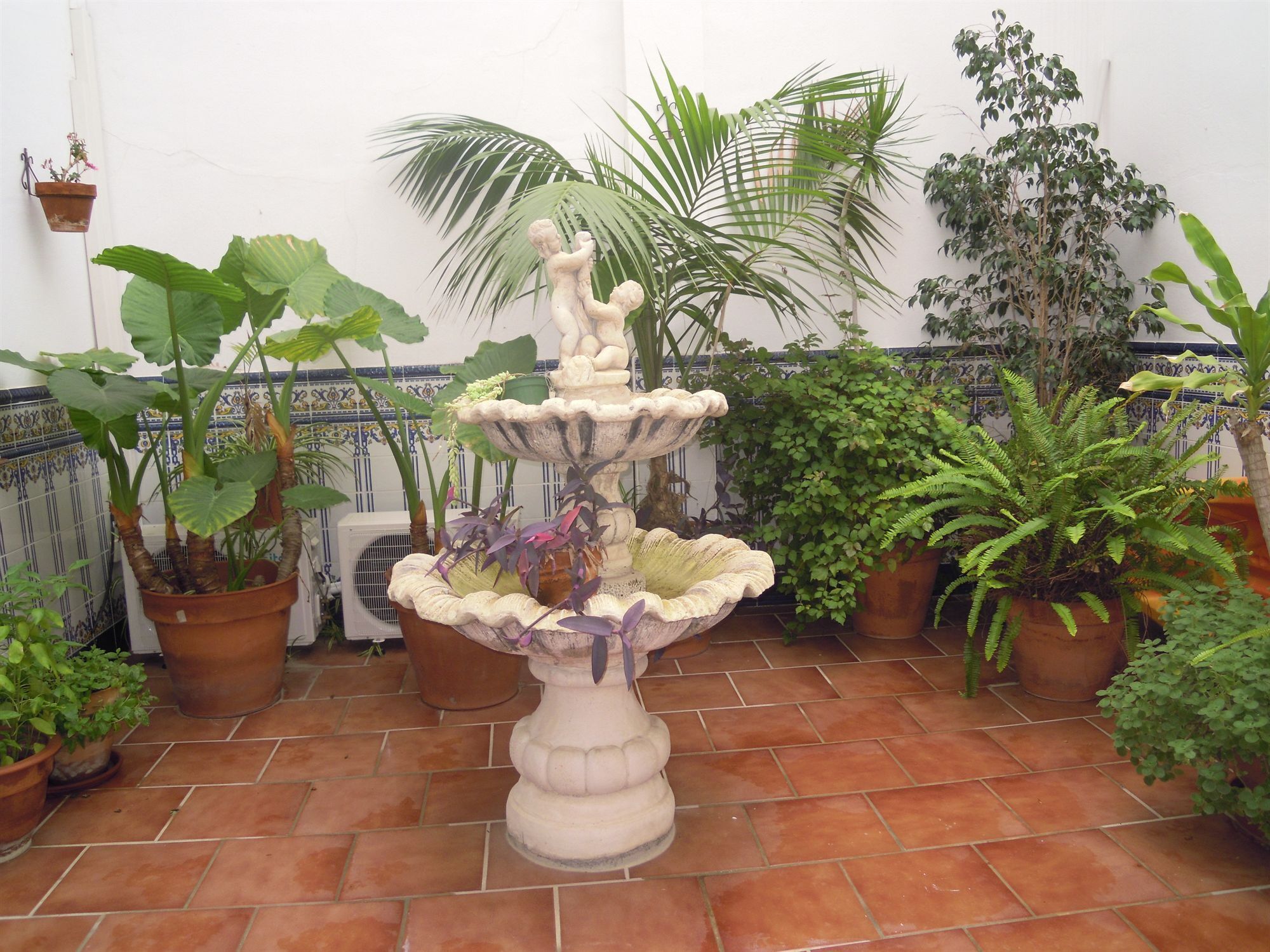 Jardines del alojamiento