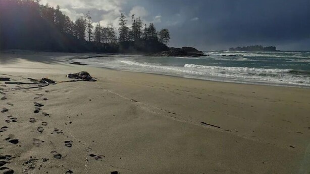 Une plage où l’on voit des empreintes de pas menant à l’eau, un promontoire rocheux et, au loin, une forêt.