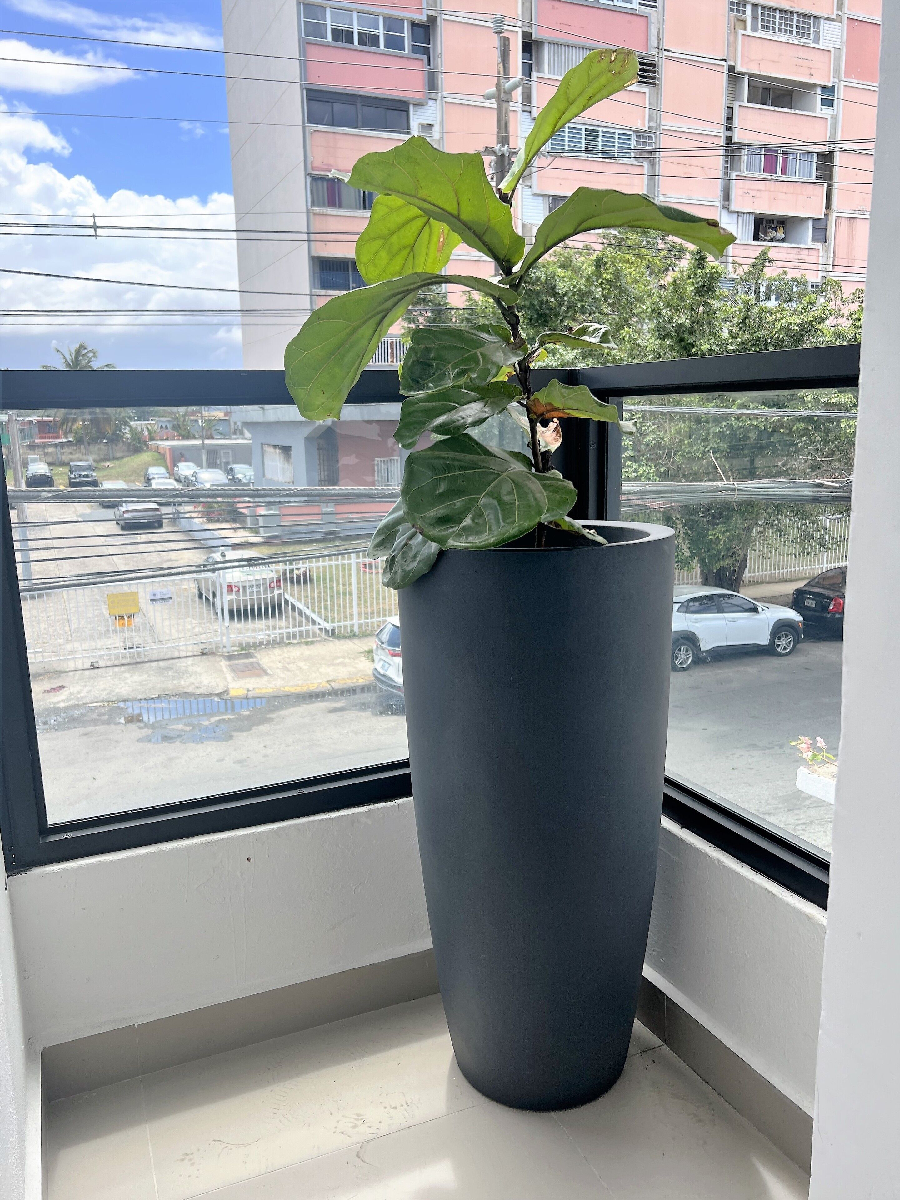 Photo - La Calma Poshtel