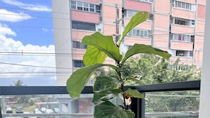 Una planta en maceta sobre el alféizar de una ventana, con vistas a una calle y edificios.