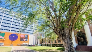 Un sendero conduce a un edificio con un mural, un árbol grande y una estructura de ladrillo.