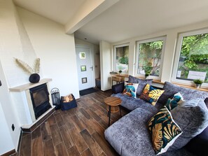 TV, fireplace, books