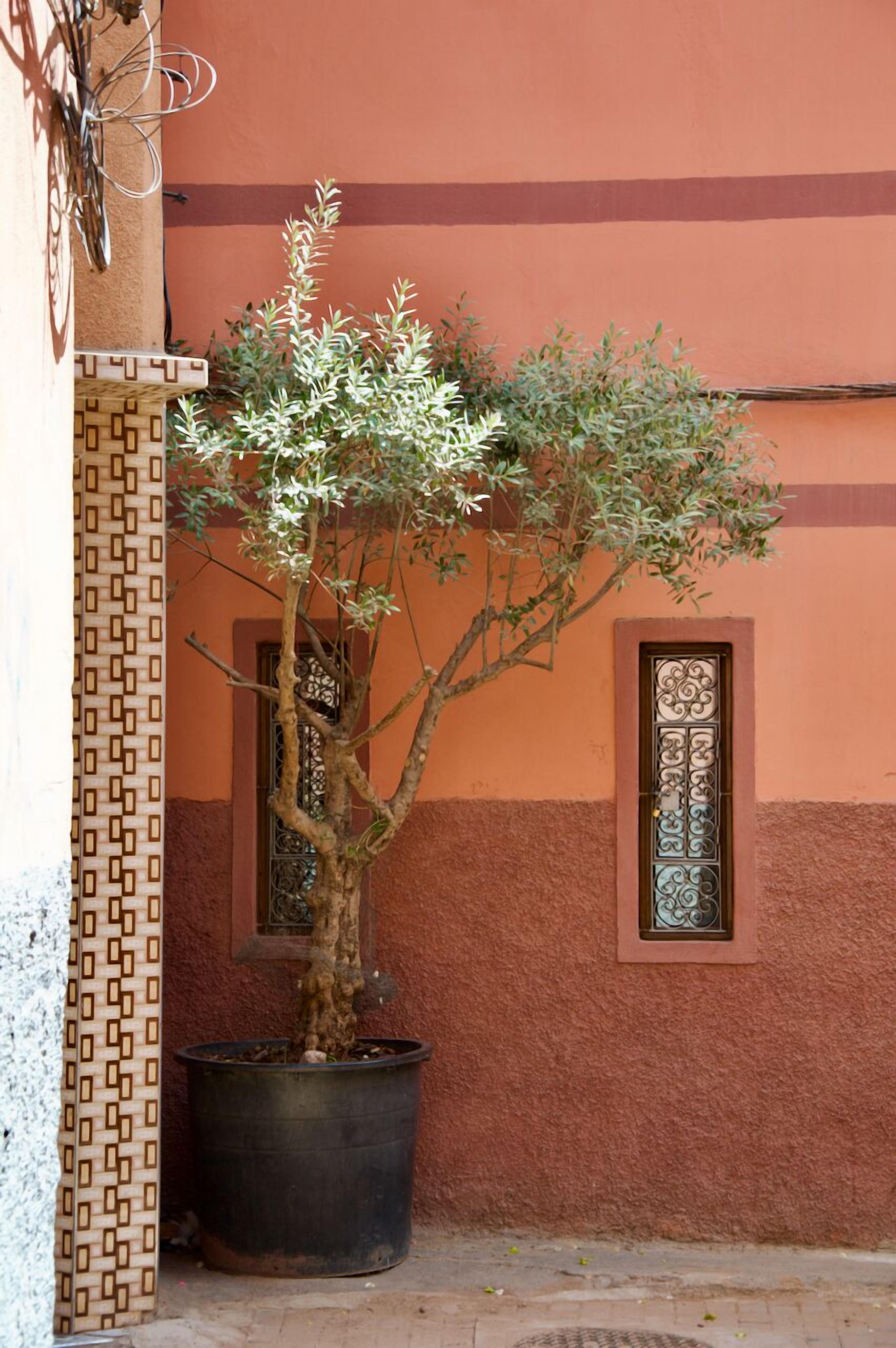 Photo - La Claire Fontaine