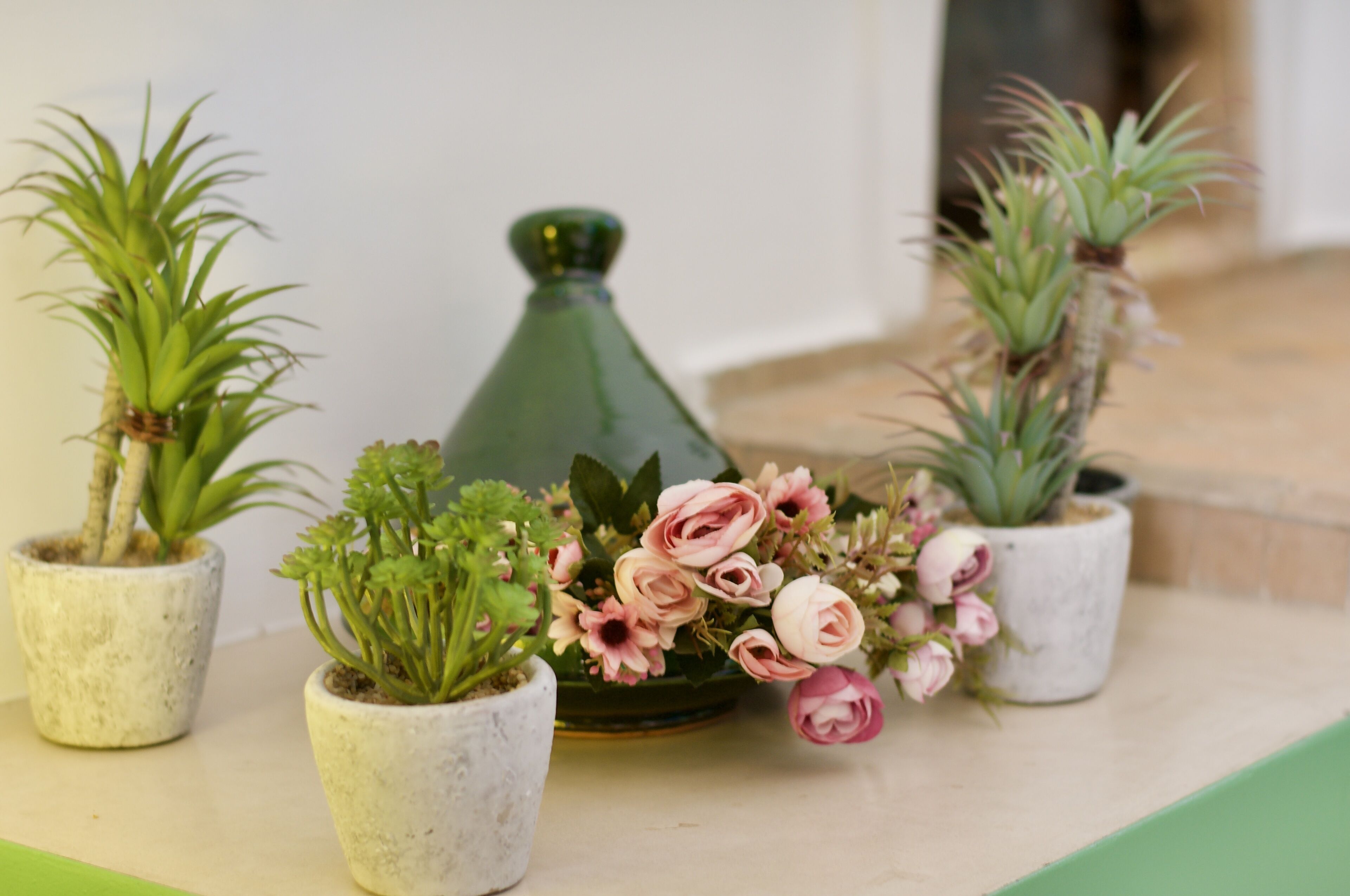 A variety of potted plants on a flat surface.