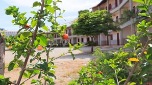 A courtyard with a building in the background, surrounded by greenery and trees. - Hotel Pousada da Lapa (Bom Jesus Da Lapa)