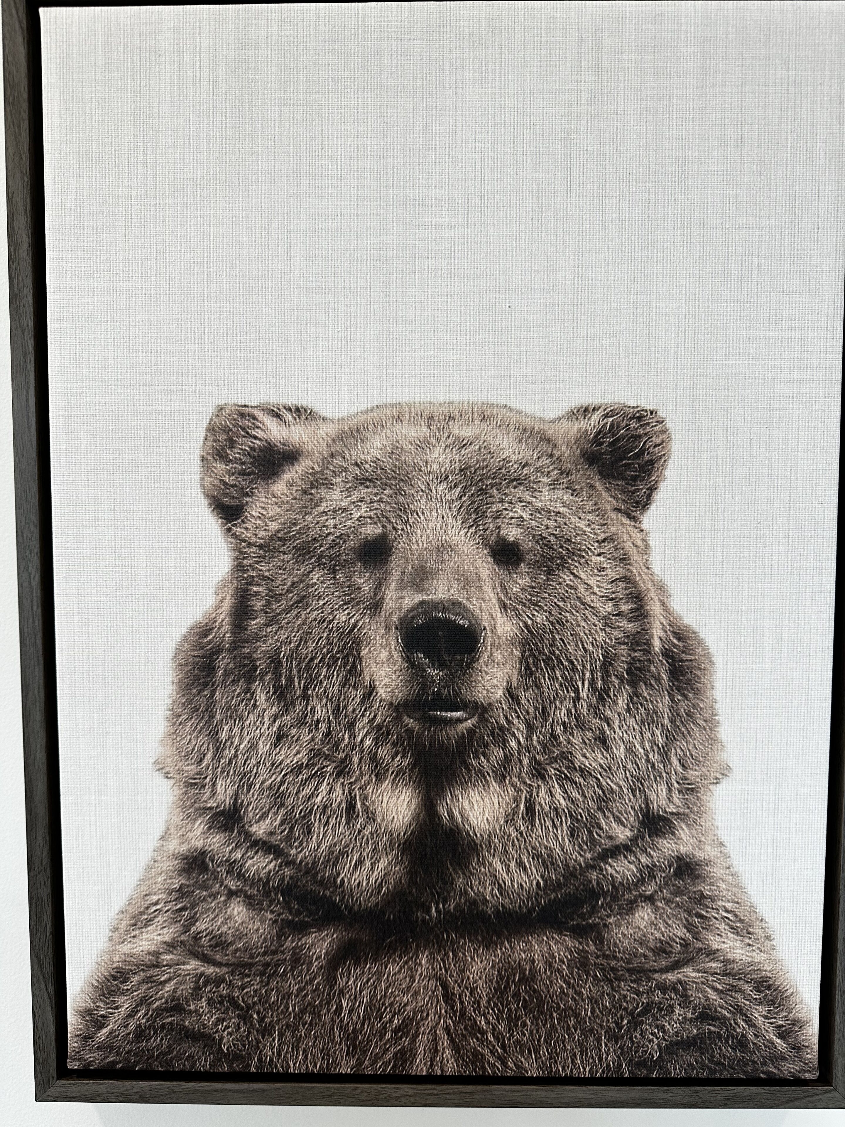 Retrato de un oso enmarcados con un fondo texturizado.