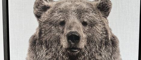 Retrato de un oso enmarcados con un fondo texturizado.