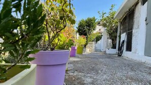 A narrow alley with potted plants and a white building with a metal gate. - Nionas Cheerful House (Piso Meria)