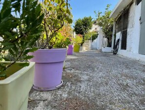 Property grounds - Nionas Cheerful House (Piso Meria)