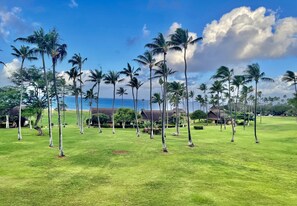 Paisaje tropical con palmeras y vista al océano.
