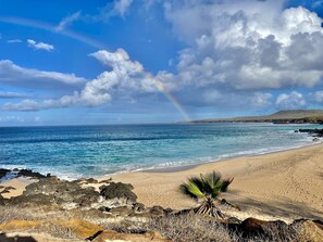 Una playa con una palmera, costa rocosa y una cadena montañosa a lo lejos.