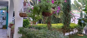 hosteria cattleya