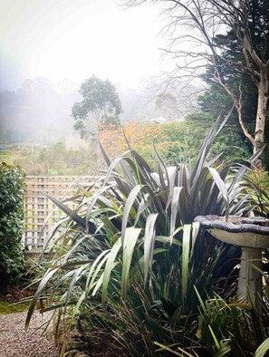 Property grounds - Cozy Inn Blue - cottgae between Leura & Katoomba (Katoomba)