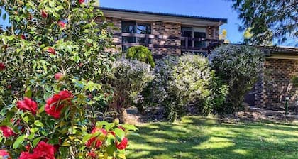 Sunrise Artist at Mt Victoria