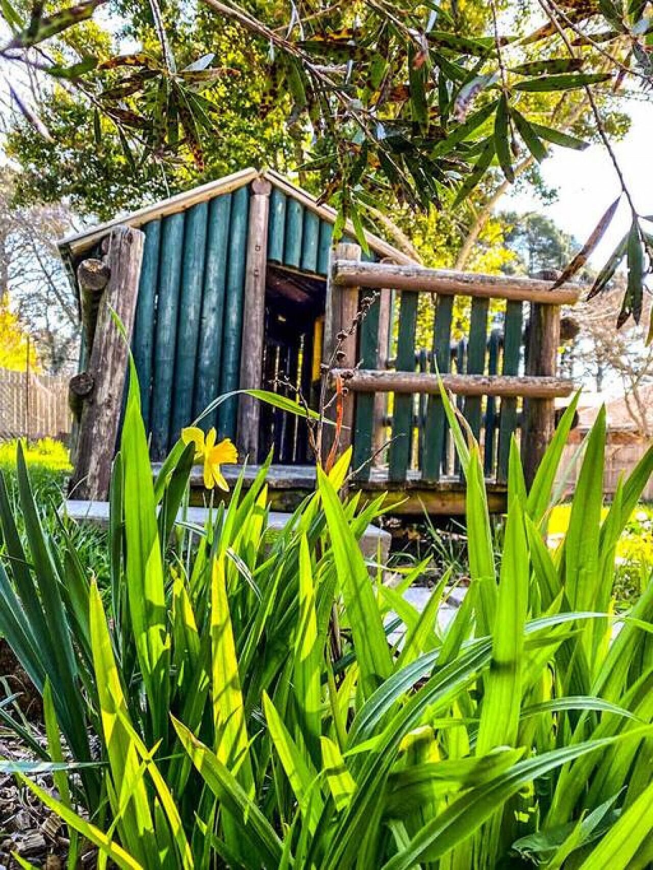 Terrein van de accommodatie