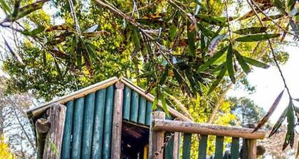Sunrise Artist at Mt Victoria