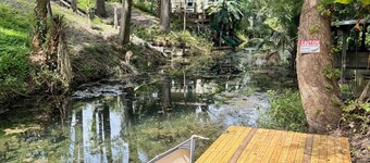 Heated pool & Kayaking house with a canal access in Lake Panasoffkee