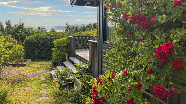 En träveranda med trappsteg som leder upp till ett hus, omgiven av frodig grönska och röda rosor.