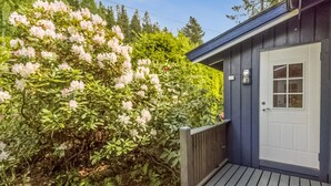 En träveranda som leder fram till en mörkblå byggnad med en vit dörr, omgiven av frodig grönska och blommande buskar.