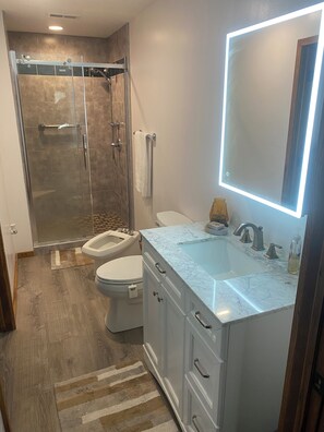 Shower, hair dryer, bidet, towels