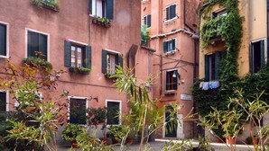Une cour agrémentée de plantes en pot, un bâtiment doté de nombreuses fenêtres et de balcons, et une pancarte indiquant qu’une chambre est à louer.