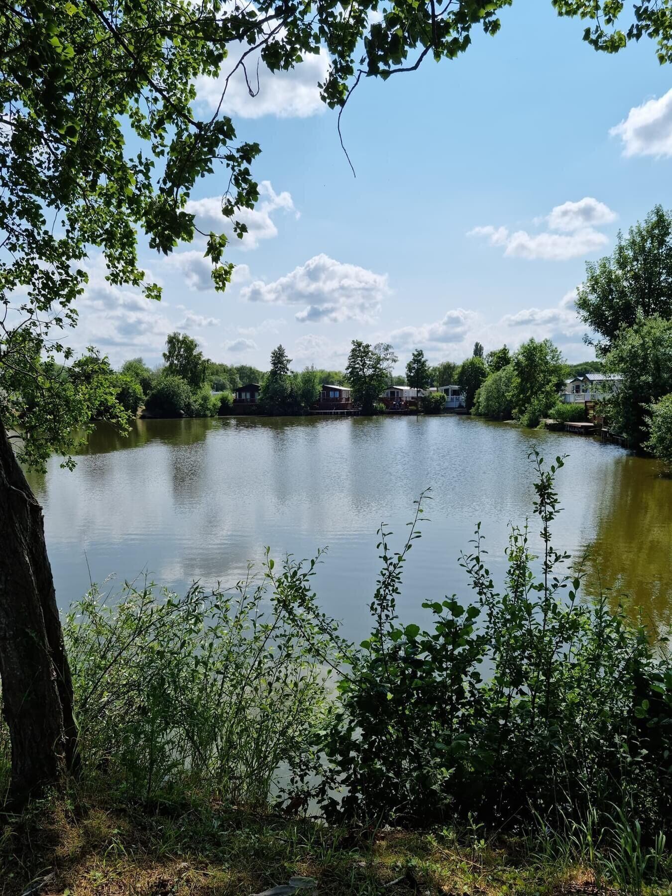 A calm lake with a row of cabins along the shore, surrounded by trees and greenery.