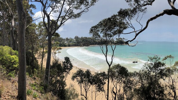 Een strand met helder turquoise water, omringd door eucalyptusbomen en een zandstrand.