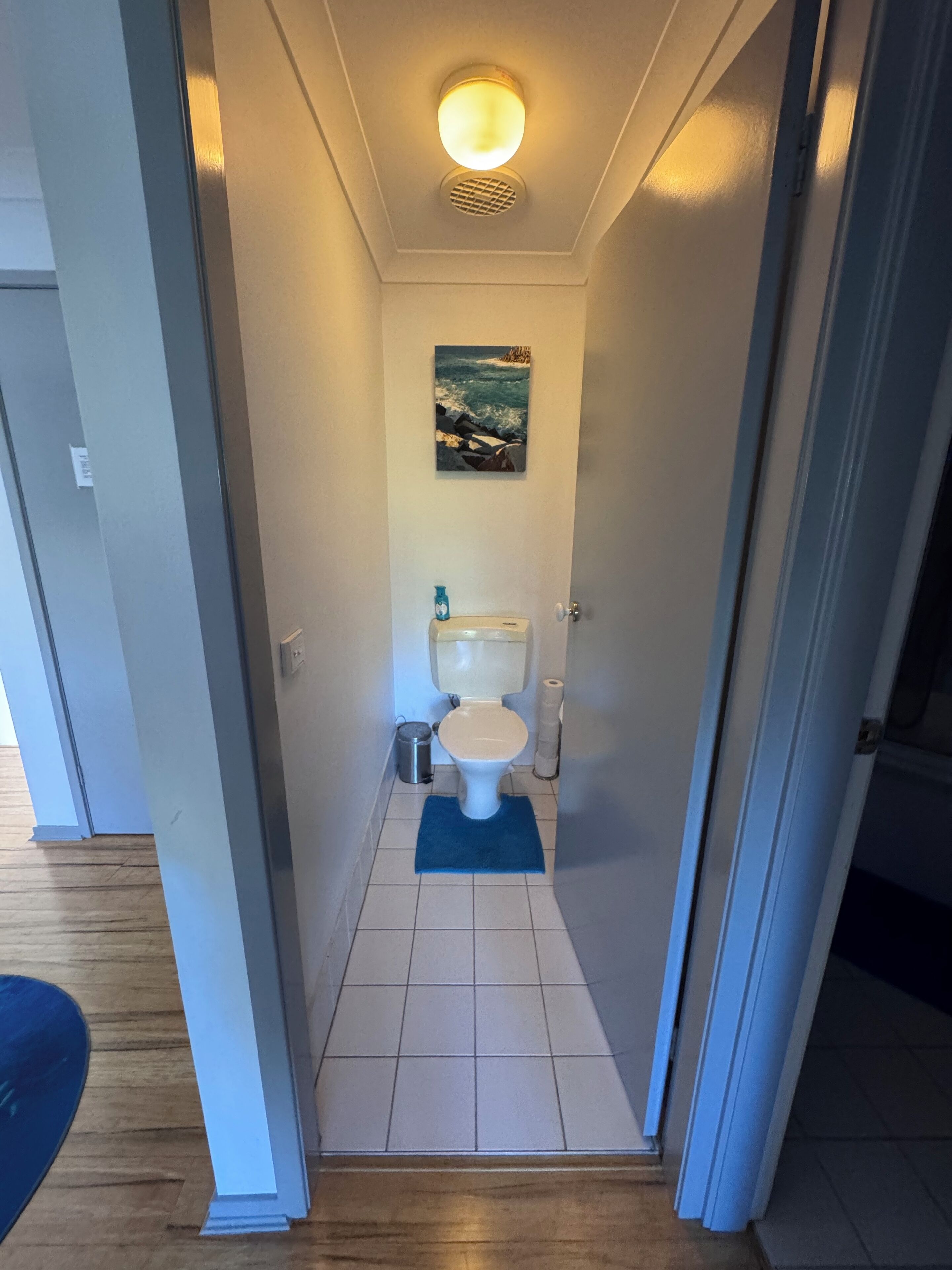 Kapea kylpyhuone, jossa on wc, sininen matto, merimaiseman kuva ja kattovalaisin.