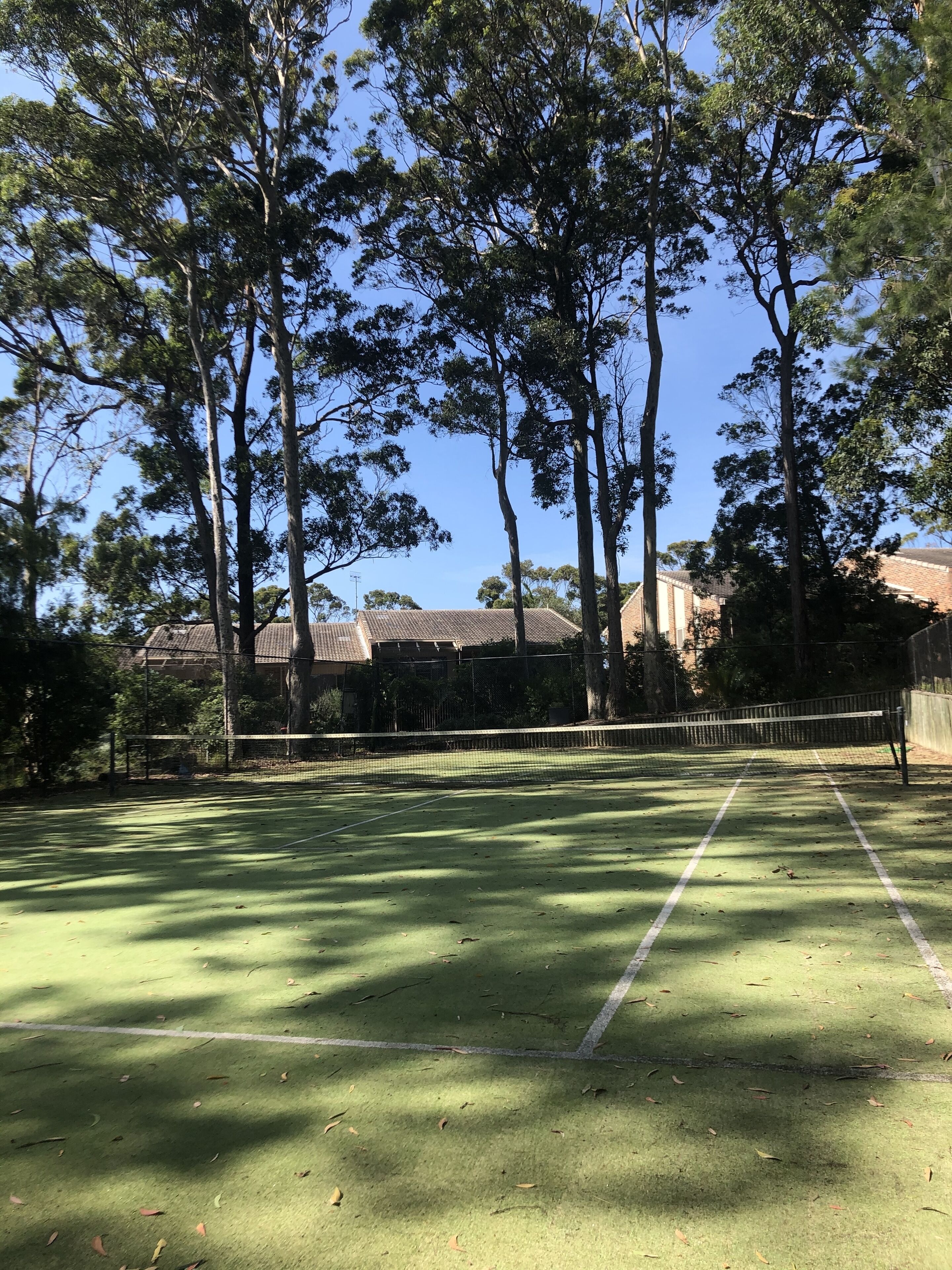 Una cancha de tenis rodeada de árboles altos y edificios al fondo.