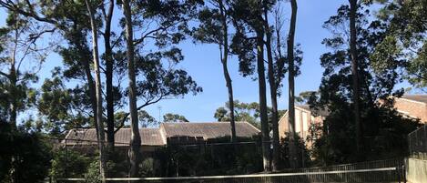 Una cancha de tenis rodeada de árboles altos y edificios al fondo.