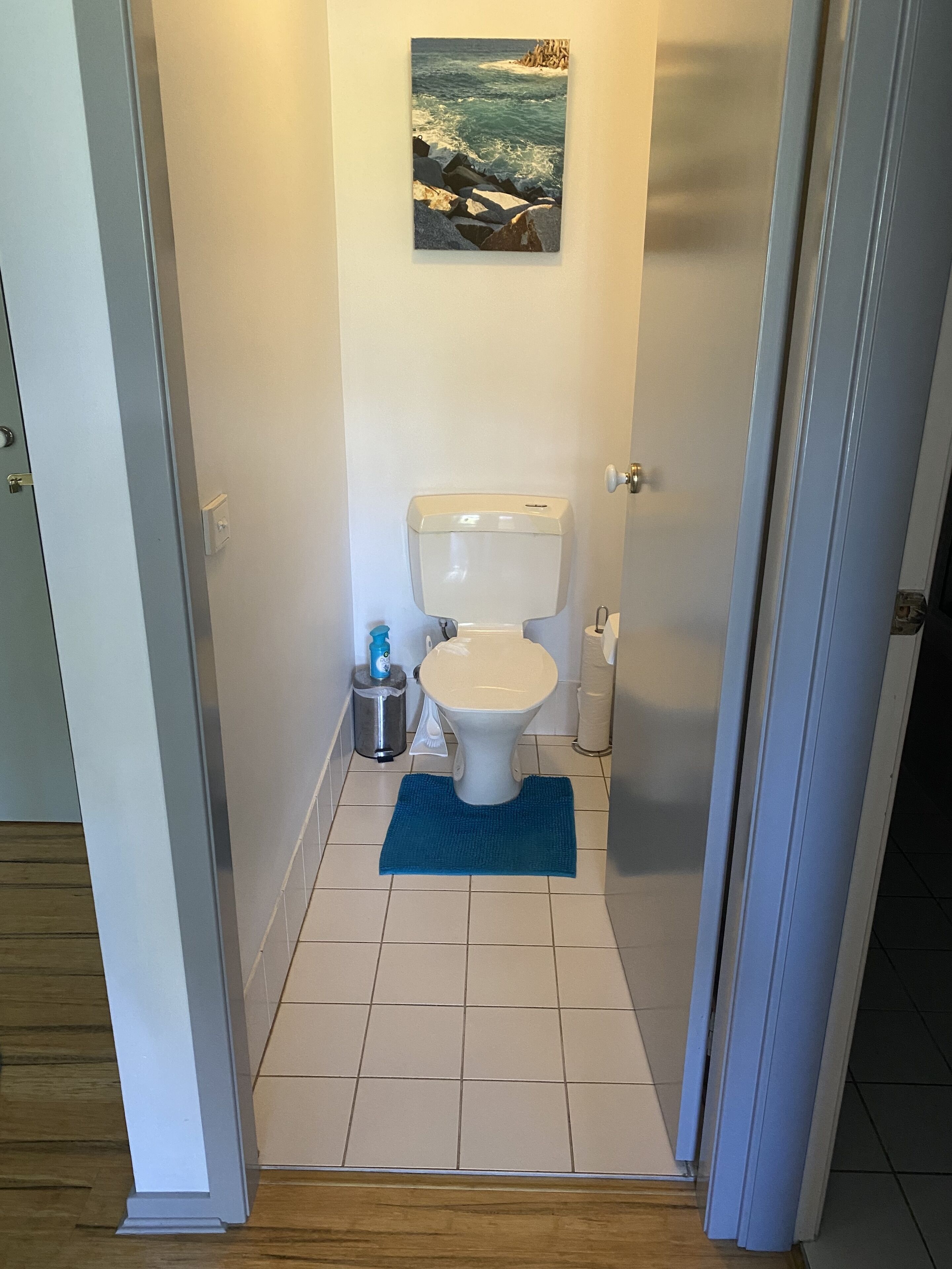 A small bathroom with a toilet, a blue mat, and a painting of a rocky coastline on the wall.