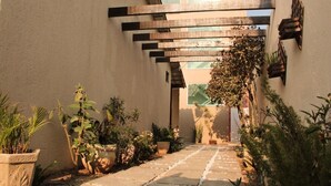 Un étroit sentier bordé de plantes en pot et surmonté d’une pergola, menant à l’entrée d’un bâtiment.