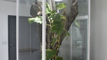 San Blas 3 | Living area | 52-inch Smart TV with digital channels, TV, Netflix