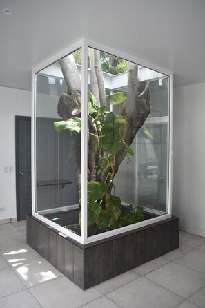 San Blas 3 | Living area | 52-inch Smart TV with digital channels, TV, Netflix - El Salvador Surf Houses (La Libertad)